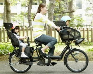 Assista-e-bike-bridgestone-velo-cargo