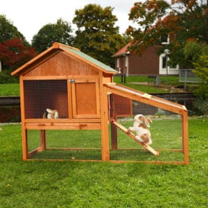 cage de lapin en bois grande