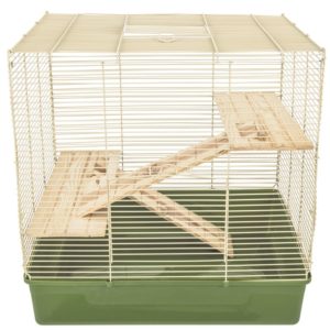 cage de rat compacte