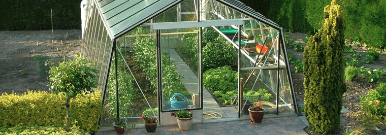 serre de jardin transparente grande