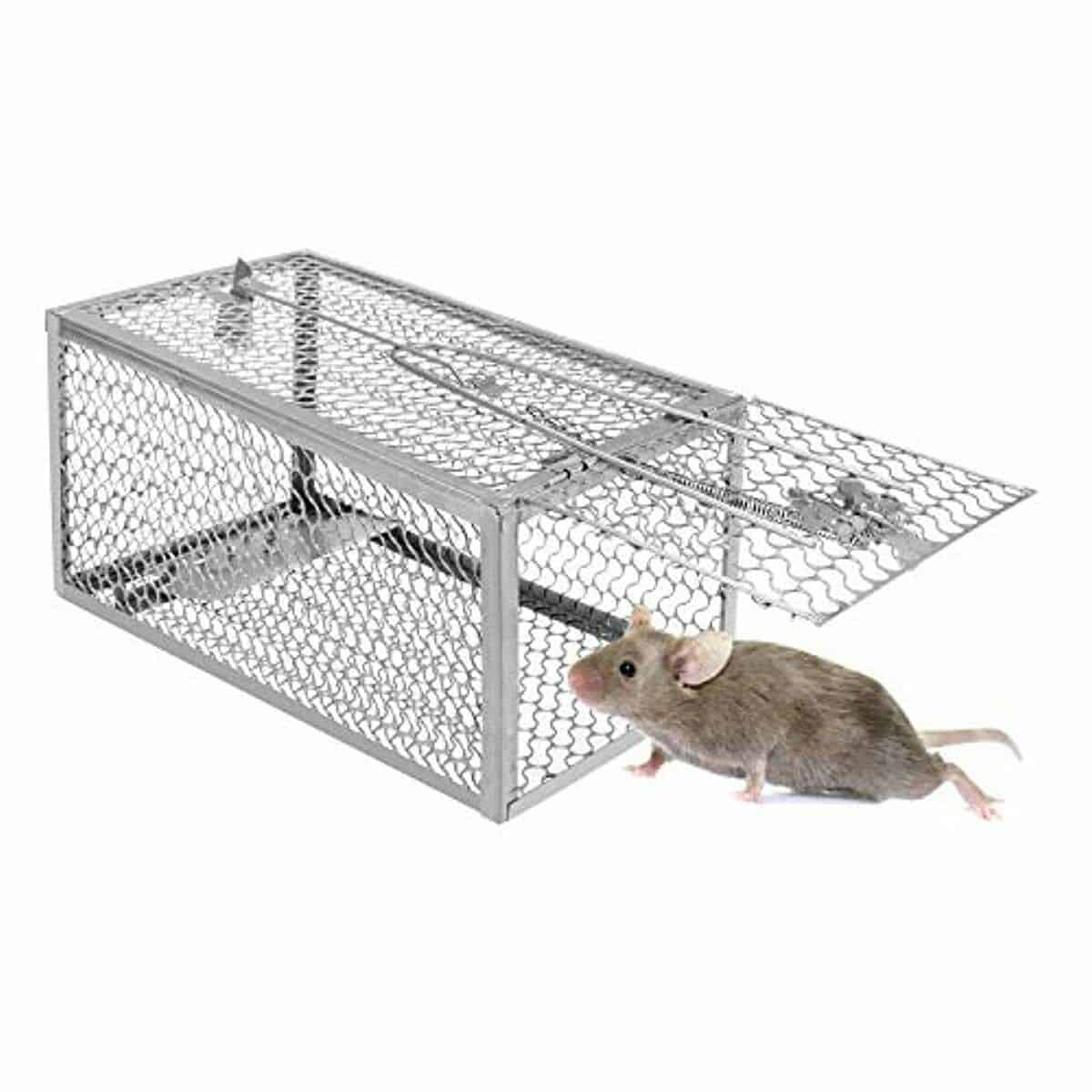 Meilleures idées piège à rats  Top 10 piège à souris électrique #3 