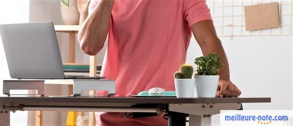 Un bureau avec ordinateur portable, support et plantes