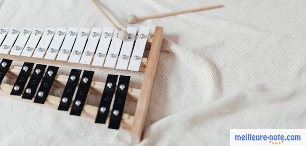 un xylophone avec deux baguettes