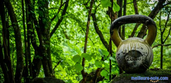 Une vieille kettlebell dans la forêt