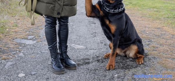 une femme avec son chien