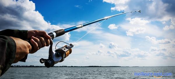 Une main qui tient une canne à pêche