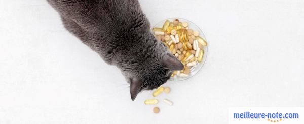 un chat mange des vitamines