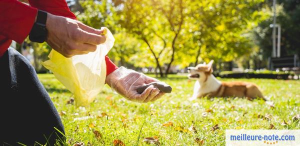 un maître qui ramasse le crotte de son chien