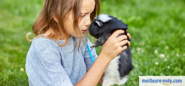 un enfant apporte un hamster