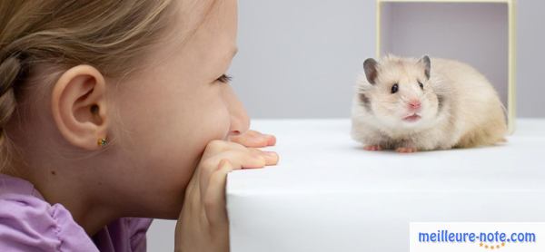 une petit fille joue avec son hamster