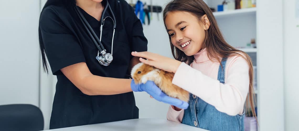 petite fille qui tient dans ses mains un lapin roux