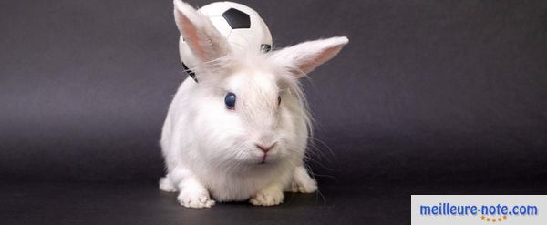 un lapin blanc joue au ballon