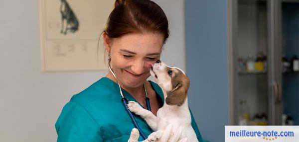 Une vétérinaire aimante et un chiot