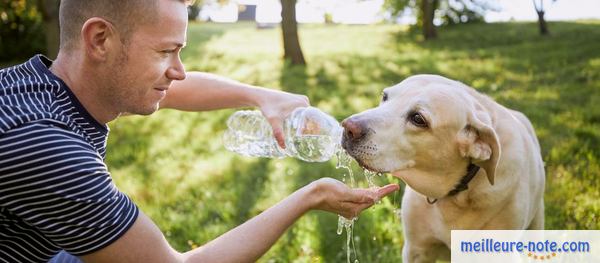 un homme donne de l'eau à son chien