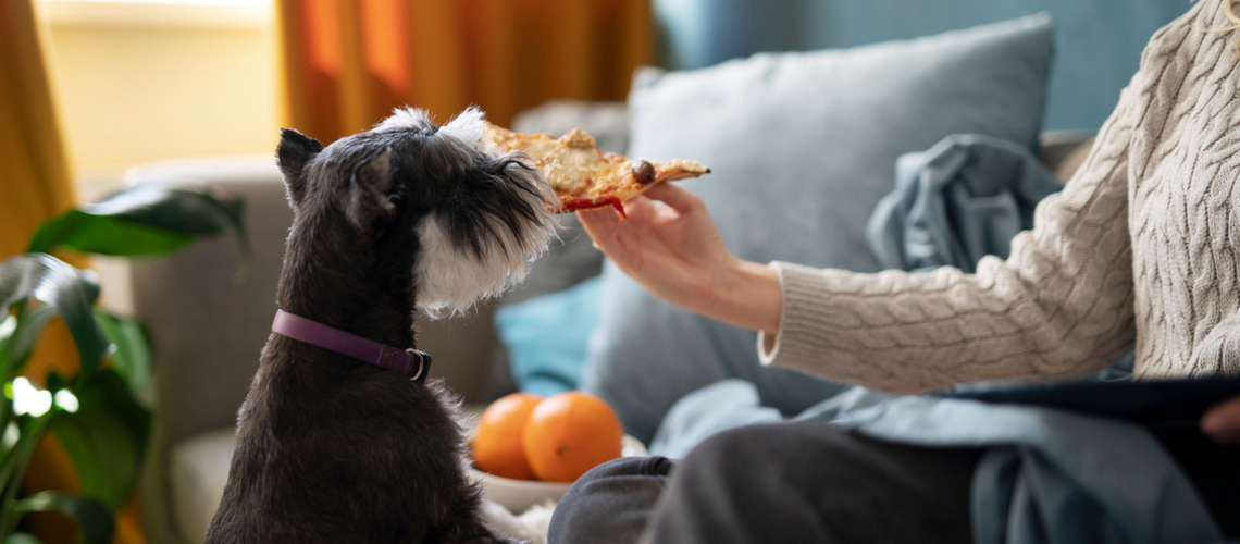 Chien qui a toujours faim