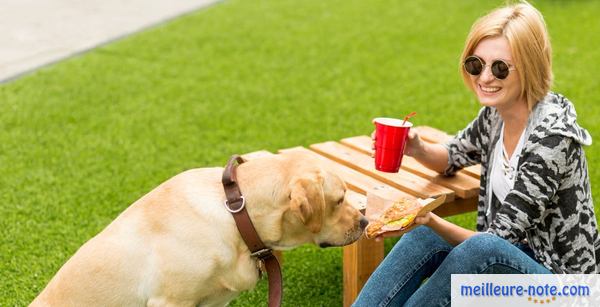 une femme avec son chien au jardin