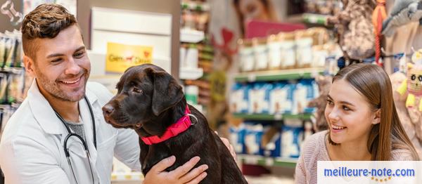 Un vétérinaire et un petit labrador