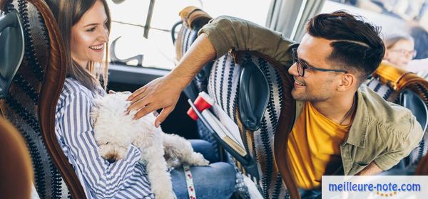 une femme et un homme avec un chien dans une train