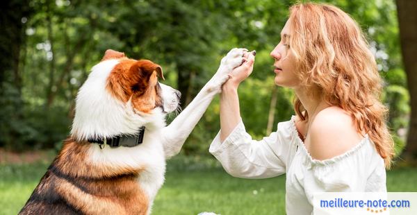 une femme joue avec chien