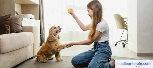 une femme joue avec son chien