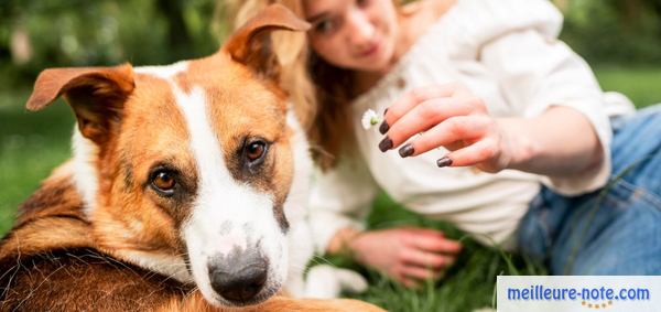 une femme qui récompense son chien