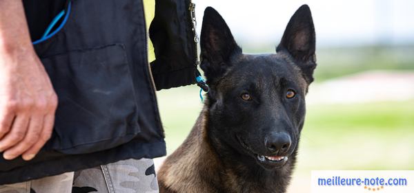 un maitre avec son chien noir