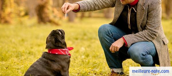 un chien noir avec son maitre