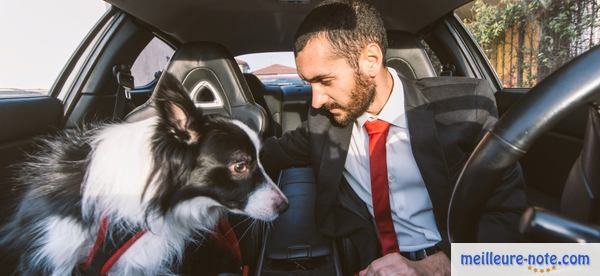 un propriétaire avec son chien dans une voiture