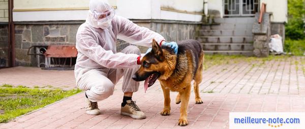 un homme en combinaison avec un chien