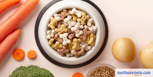 des légumes et des croquettes pour chien