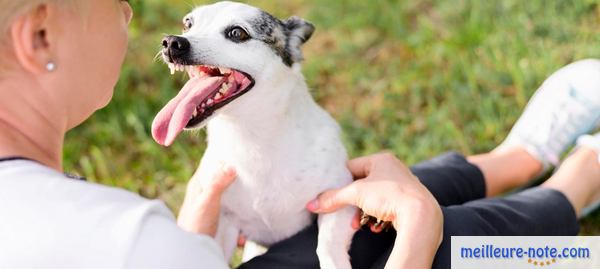 un femme avec son beau chiot