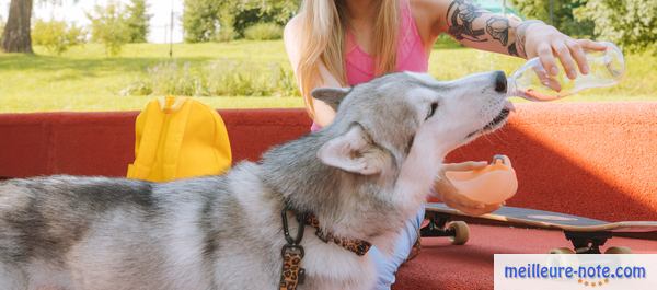 une femme donne de l'eau à son chien