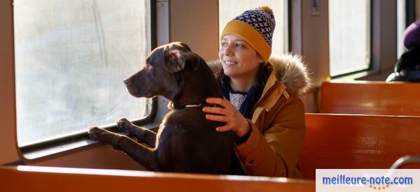 un chien avec sa maitresse dans une train