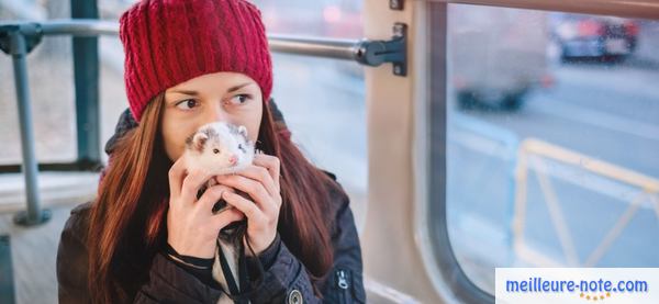 une femme embrasse son furet