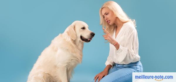 une femme gronde son chien