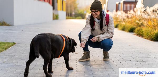 une femme donne de la récompense à son chien