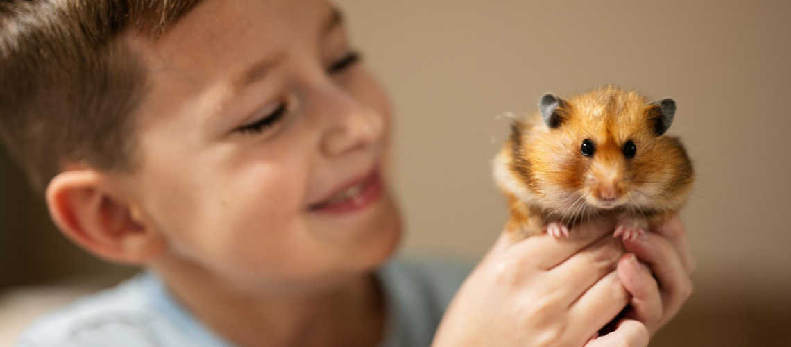 garde hamster pendant vacances