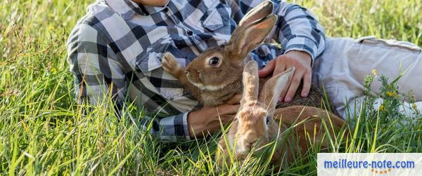 Un homme qui s'amuse avec ses lapins