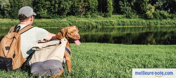 un homme avec son chien près du lac