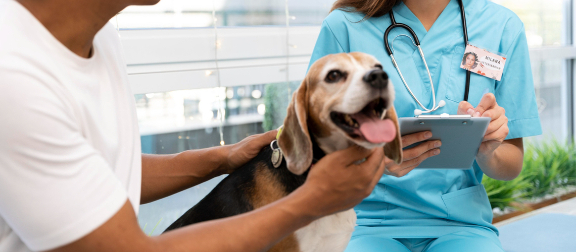 mutuelle santé pour chien