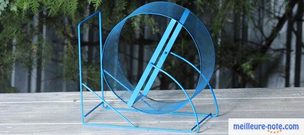 une roue bleue pour l'hamster