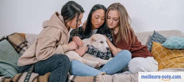 trois femme avec un chien